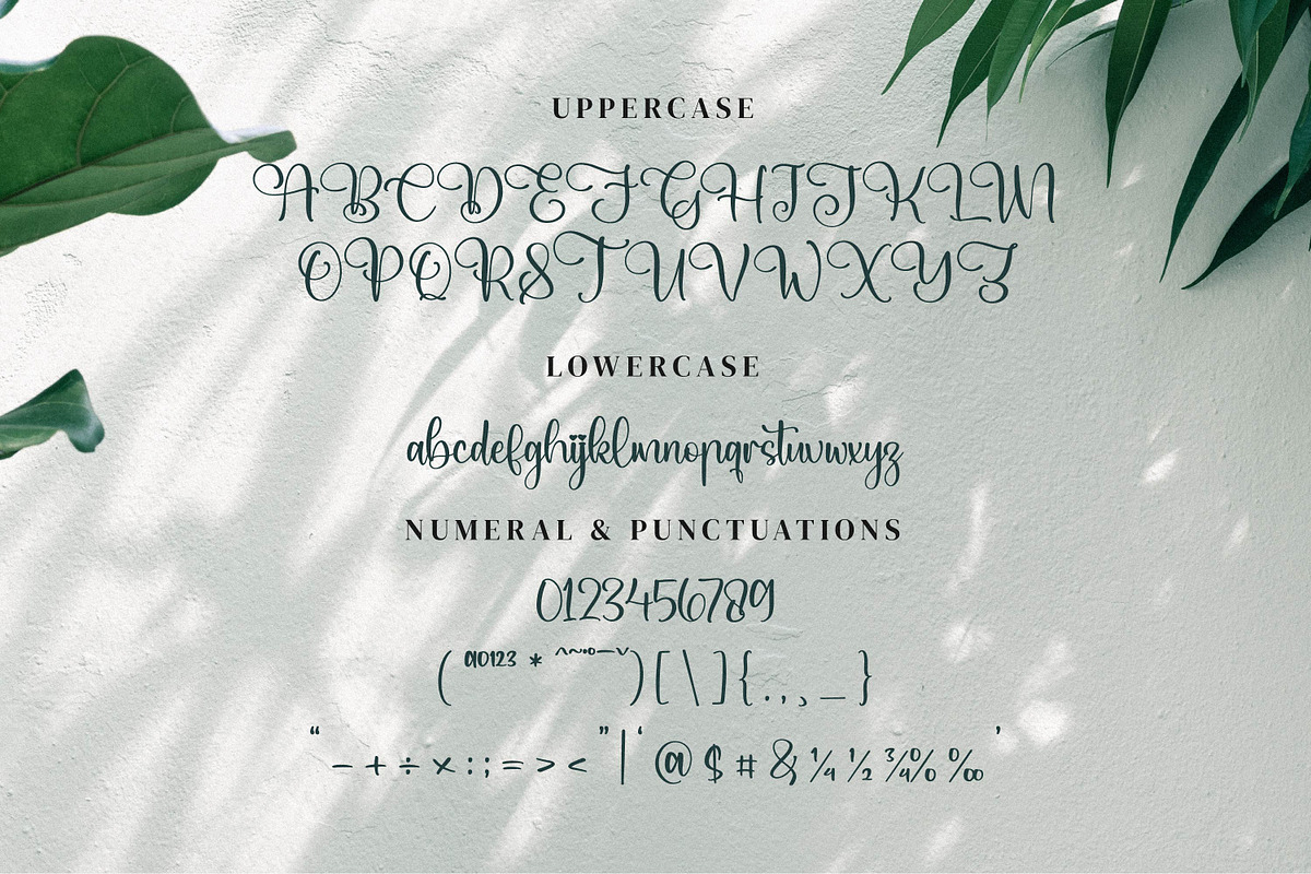 Qianetta, a Script Font by Integritype Studio (Photo 9 of 15)