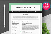 Resume/CV Bundle | 200+ for $29, a Resume Template by ResumeInventor (Thumbnail 151 of 207)