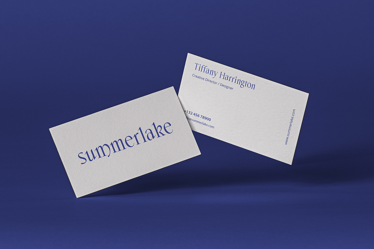 ED Cerfoglio - Classy Serif, a Serif Font by Emyself Design (Photo 7 of 9)
