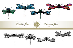 Butterflies And Dragonflies