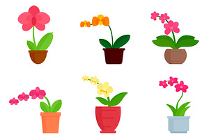 Orchid Icons Set, Flat Style