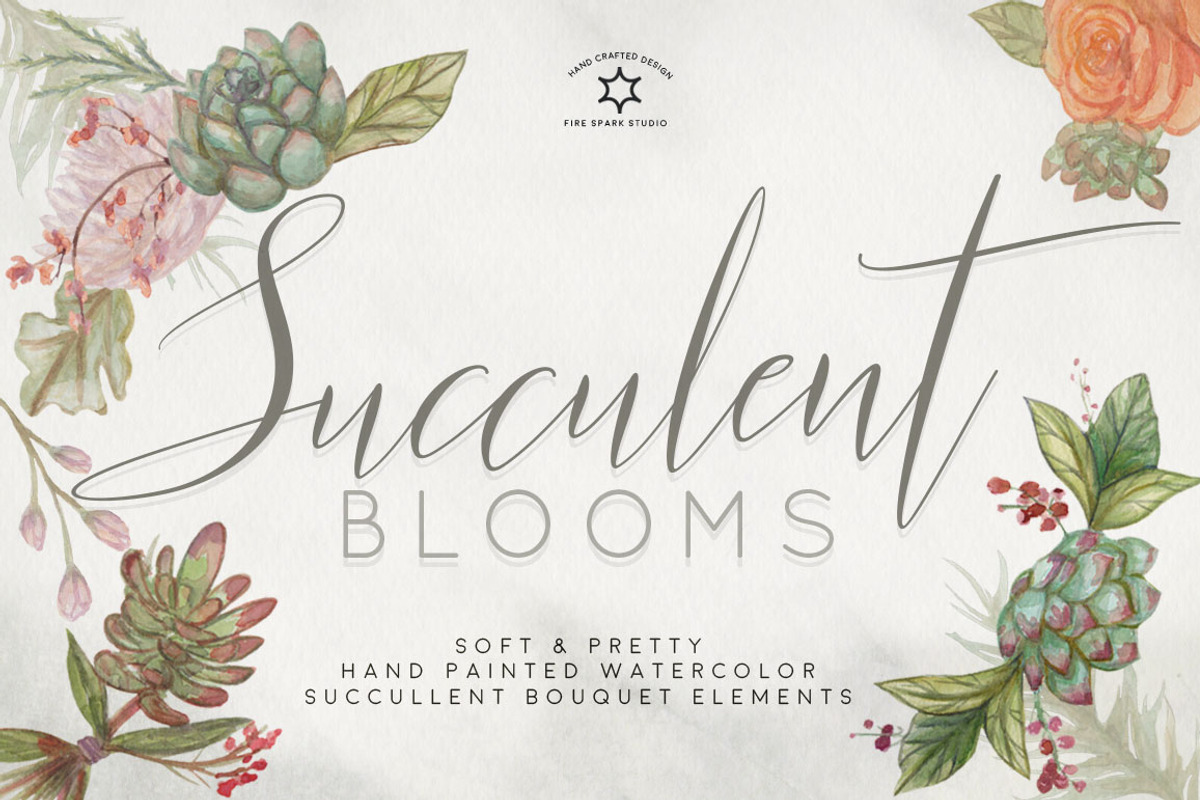 Succulent Blooms Watercolor Images, a Texture Illustration by Fire Spark Studio (Photo 1 of 9)