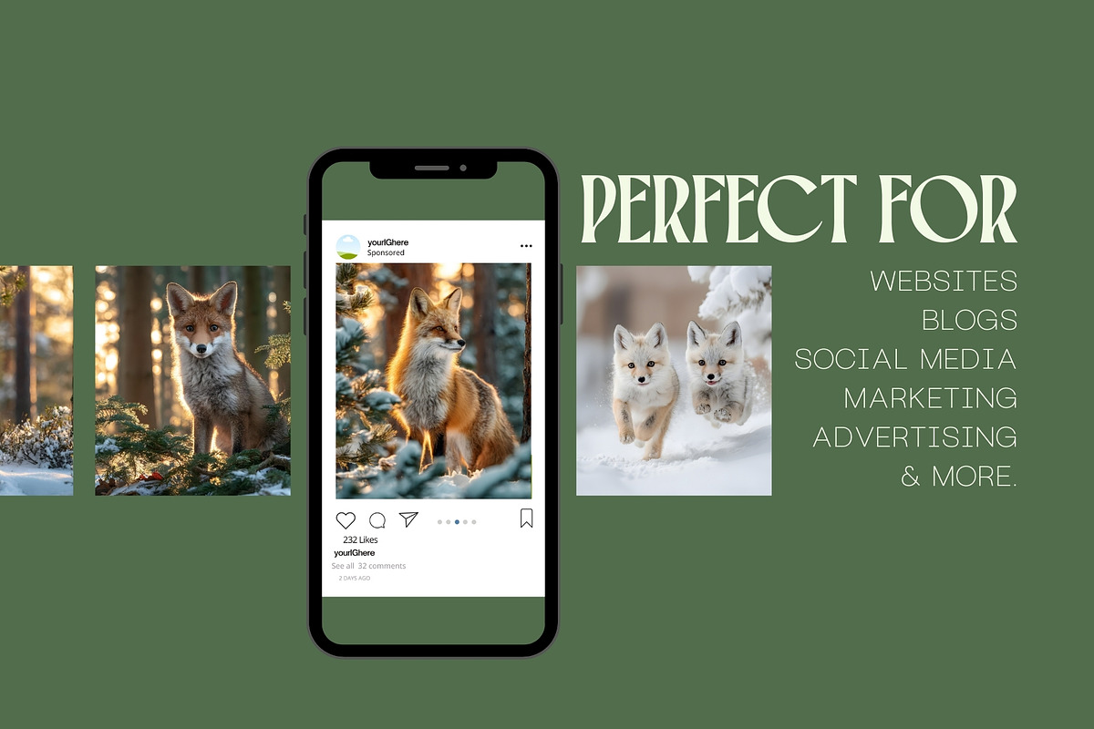 90 Cinematic Fox Stock Photos, an Animal Photo by Incomelion (Photo 3 of 15)