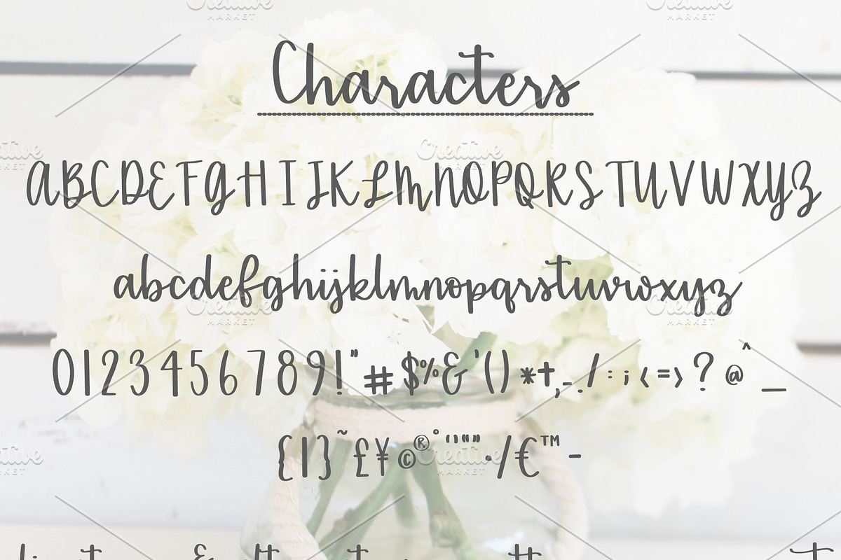 Sentiments - A Handlettered font preview 5