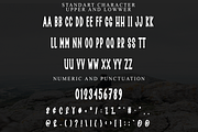 Santa Awesome, a Script Font by FreshTypeINK (Thumbnail 5 of 8)