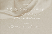 Rossaline Script, a Handwritten Font by Pinakiaa Studios (Thumbnail 9 of 10)