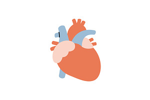 Heart. Human internal organ. Vector, an Object Illustration by GraphiShop