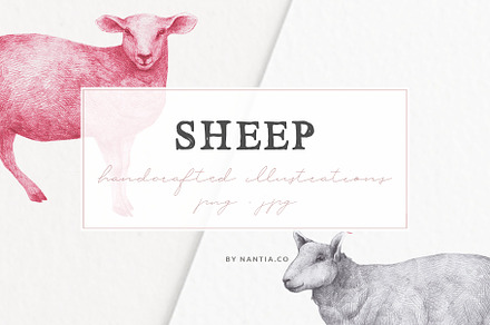 Hand drawn Sheep + Bonus Patterns