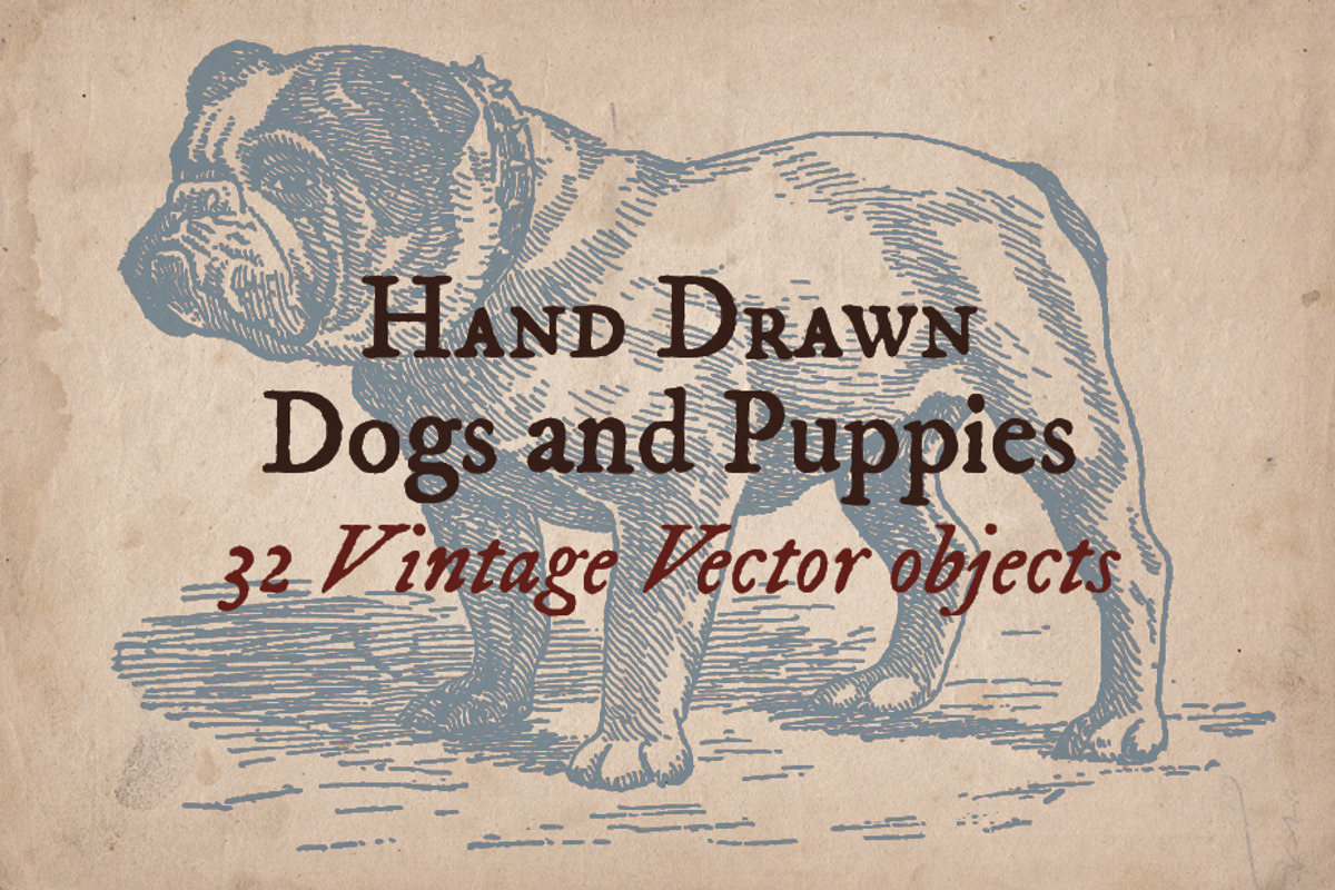 32 Hand Drawn Dogs and Puppies, an Animal Illustration by Mr Vintage (Photo 1 of 5)
