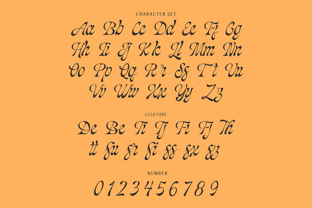 Blackshiny, a Script Font by ManType (Photo 3 of 7)