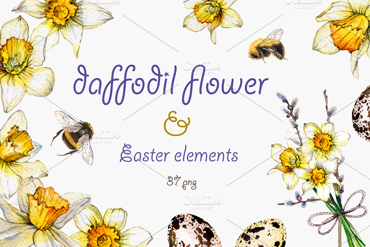 daffodil flower, an Illustration by OlyaSenko (Photo 1 of 7)