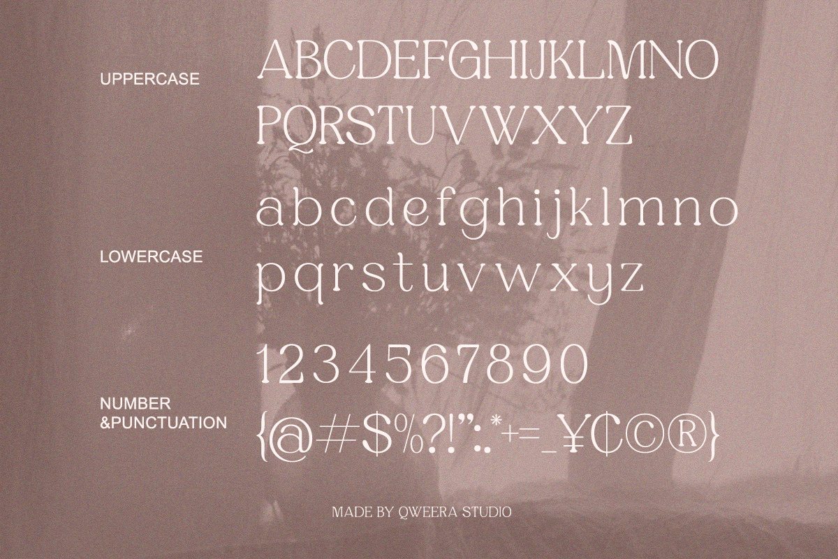 Honey Cloudlight - Modern Elegant, a Serif Font by Qweera Studio (Photo 10 of 12)