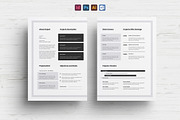 Brief Proposal Templates, a Stationery Template by Designsoul14 (Thumbnail 2 of 7)