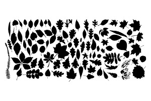 foliage monochrome silhouettes. hand, an Object Illustration by Nenahliadava Design