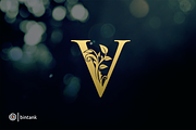 Gold V Letter Logo, a Branding & Logo Template by Bintank Studio (Thumbnail 1 of 3)