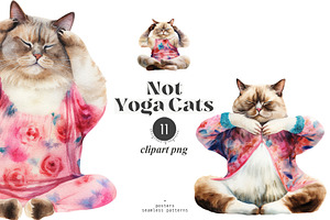 Not Yoga Cats