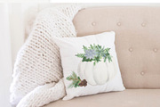 White Pumpkin Succulent Watercolor, a Decorative Illustration by DailyMiracleDigitals,LLC (Thumbnail 2 of 4)