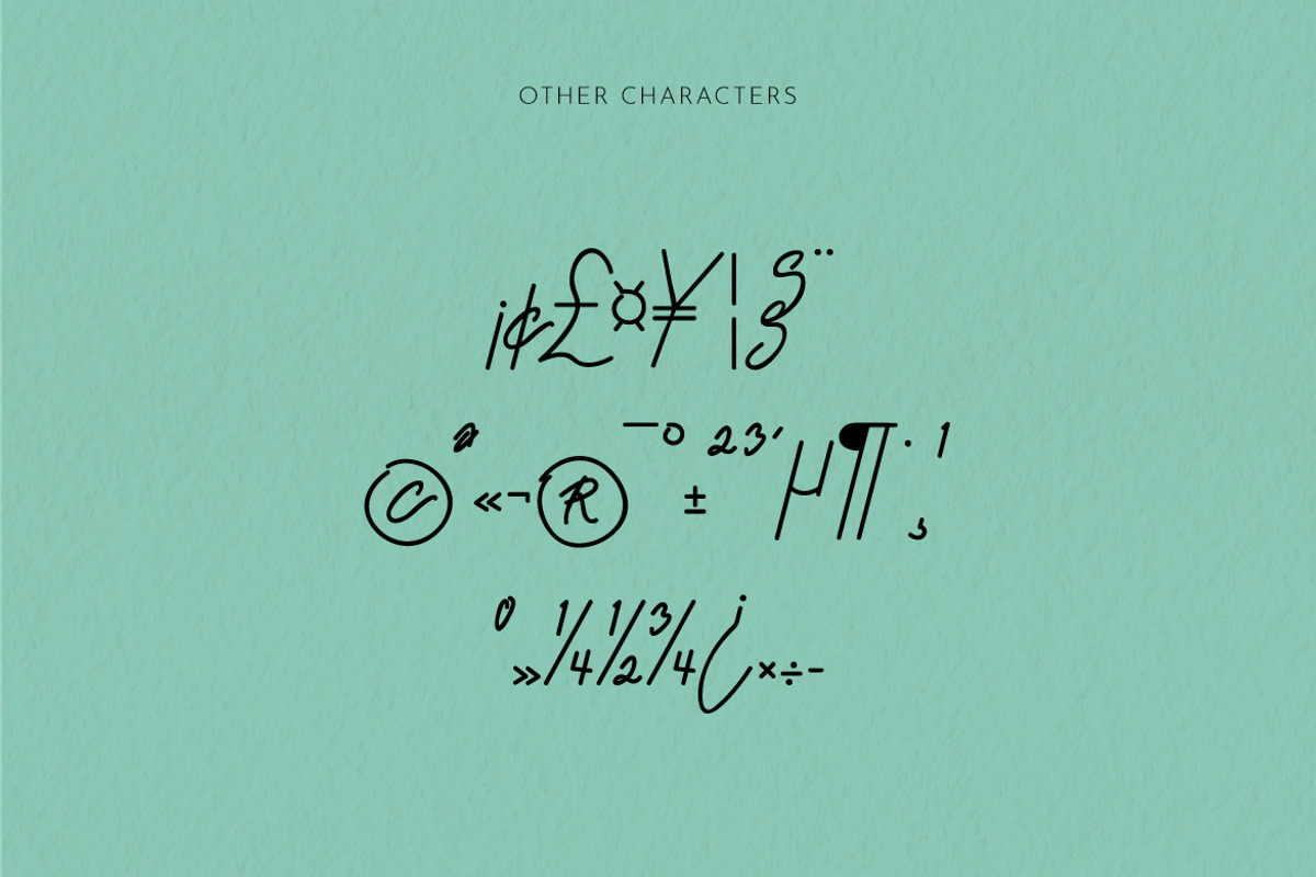 Mr. Skywhale Signature Script Font, a Handwritten Font by ashenterprise (Photo 16 of 16)
