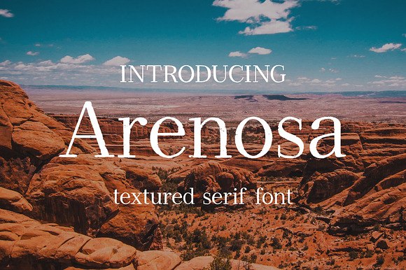 Arenosa | textured serif font preview 8