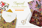 Tropical Australian Blooms, a Pattern Graphic by Sketchbook Designs (Thumbnail 7 of 9)