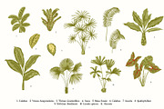 Bloom. Chinoiserie inspired, a Decorative Illustration by olga.korneeva (Thumbnail 9 of 12)