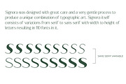 Signora | Sans Serif Family, a Sans Serif Font by Black Studio (Thumbnail 5 of 11)