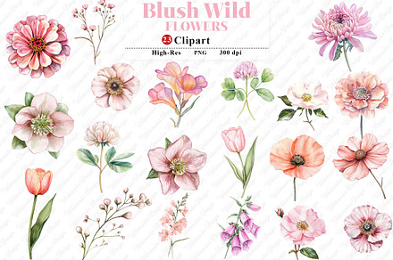 Watercolor Blush Wild Flowers, an Illustration by Watercolor design
