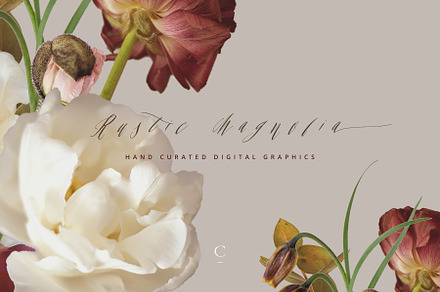 Digital Floristry - Rustic Magnolia