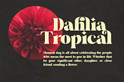 Crima, a Serif Font by Gatype (Thumbnail 5 of 9)