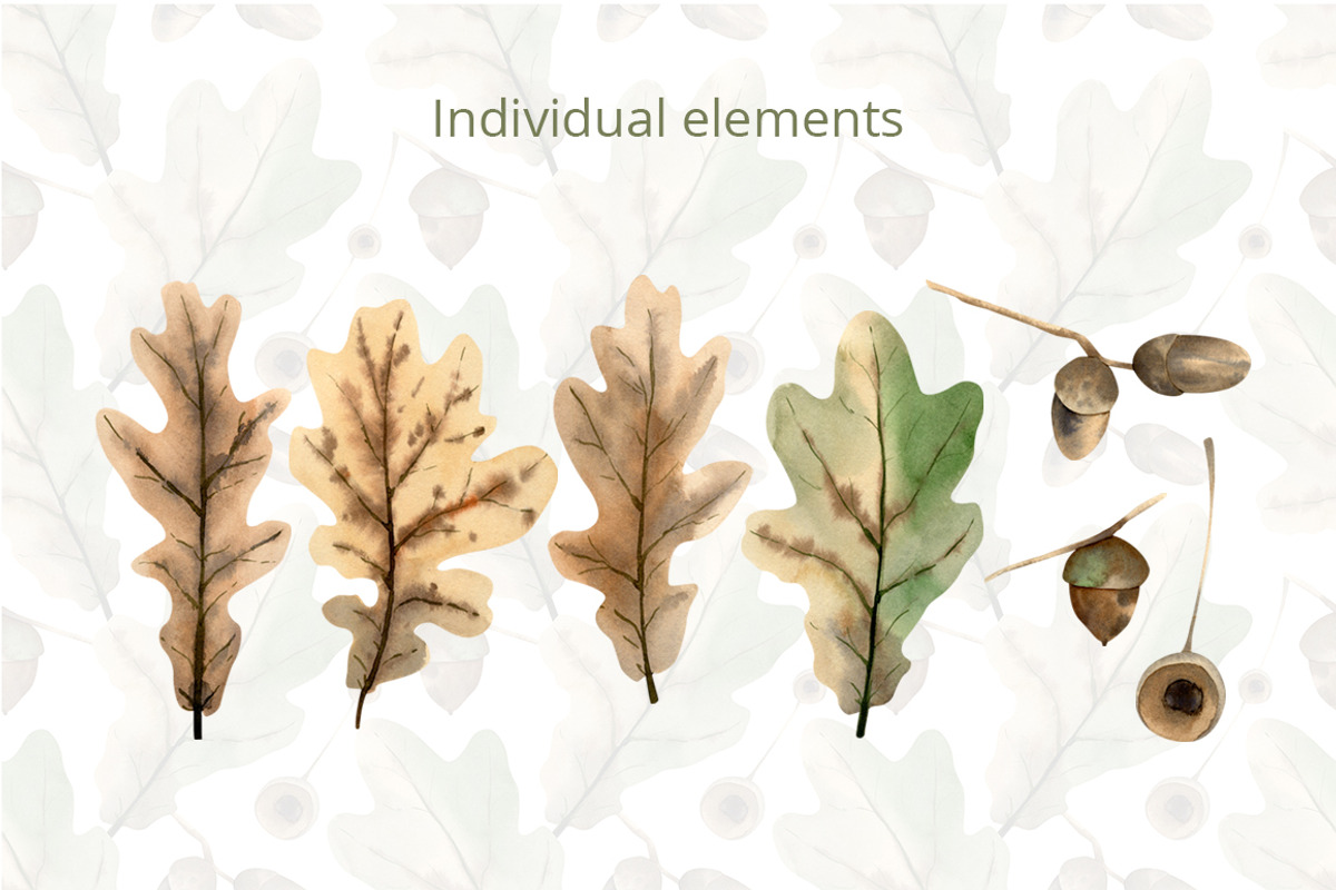 Oak leaves illustrations, a Texture Illustration by Anna Kopylova (Photo 2 of 5)