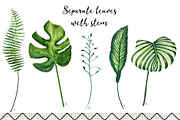 Tropical leaves old pharmacy bottles, an Illustration by marie dricot (Thumbnail 8 of 12)