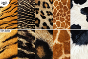 15 ANIMAL Textures, a Texture Graphic by WG DESIGN (Thumbnail 4 of 5)