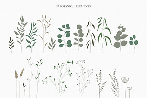 Botanical Posters & Patterns