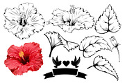 Set Designs With Hibiscus, an Illustration by Vector beauty (Thumbnail 5 of 5)