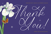 Belati Sophia Modern Beauty Script, a Script Font by Letterena Studios Script (Thumbnail 15 of 15)