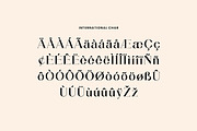 Aiguilette Luxury Serif Font, a Serif Font by UICreative (Thumbnail 8 of 12)