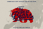 Bucks, a Script Font by Secondivison Supply (Thumbnail 2 of 9)