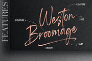 Shutterland Handbrush Script, a Script Font by Creatype Studio (Thumbnail 7 of 9)