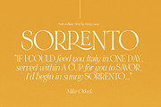 NOIR et BLANC Stylish Serif, a Serif Font by Nicky Laatz (Thumbnail 32 of 41)