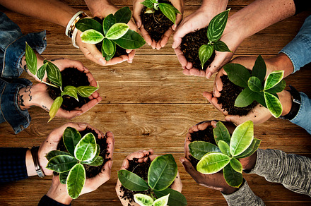 Hands holding plants featuring plant, person, and relax