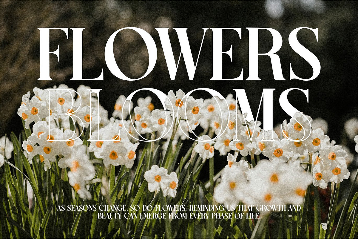 Rudge - Serif Font, a Serif Font by Luna Shop (Photo 6 of 6)