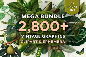 Vintage Bundle – 60% Off! – 21 Packs, an Object Graphic by The Object Atlas