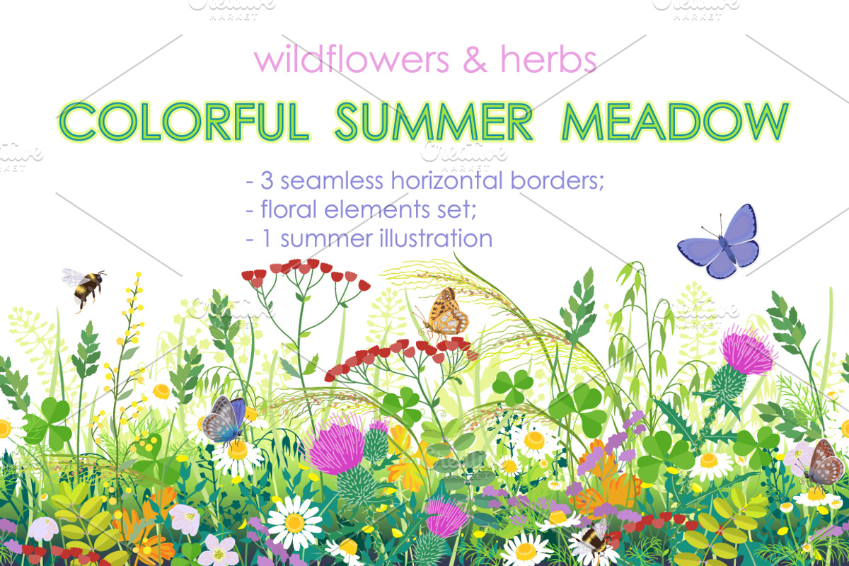 Summer Meadow Plants  and Insects, a Decorative Illustration by Valentyna Smordova (Photo 1 of 4)