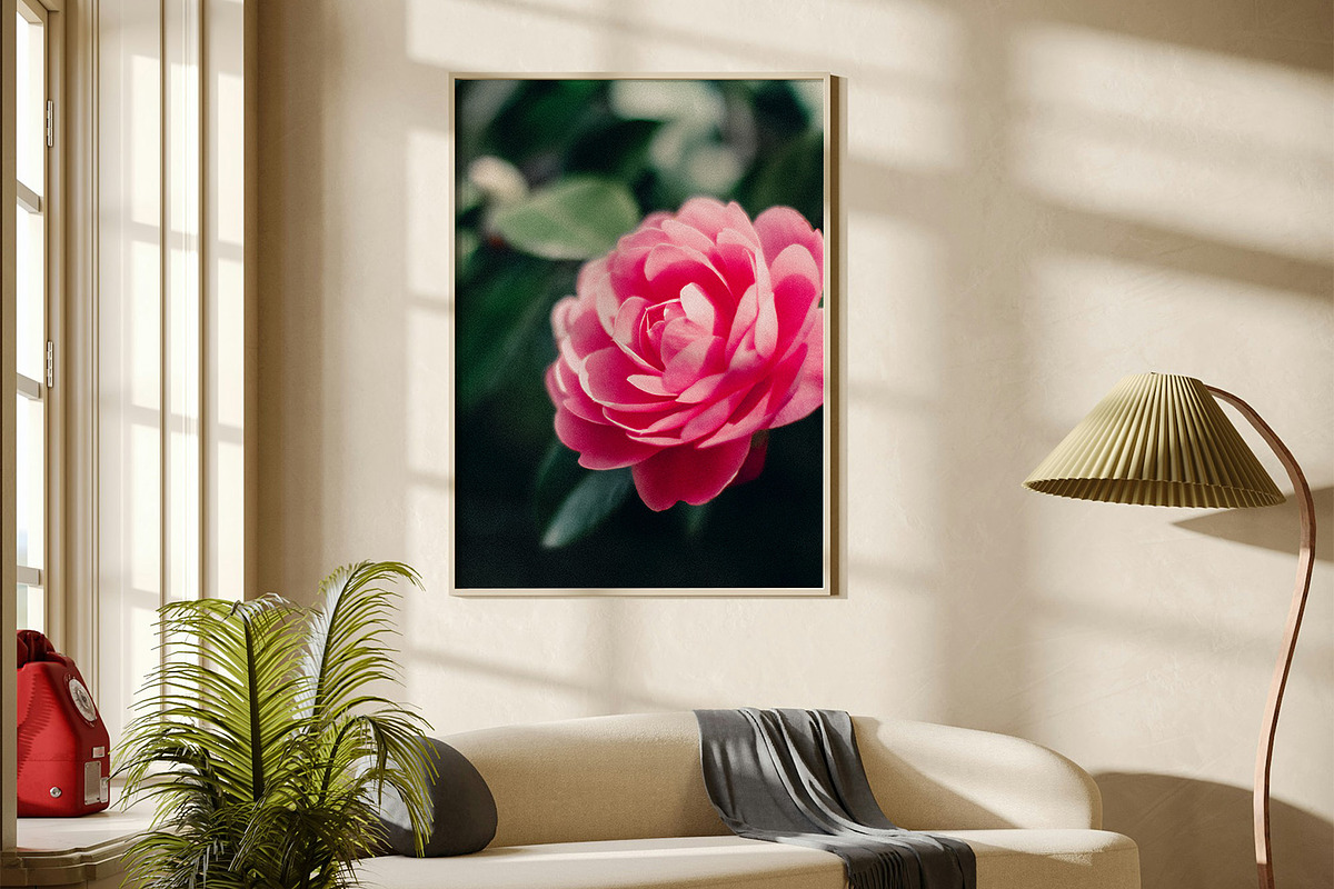 FlowerBloom - Fine Art Photography, a Photo by Marie Dumora (Photo 3 of 4)