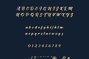 Nigolo Script Font, a Script Font by Creative Foundry (Thumbnail 6 of 8)