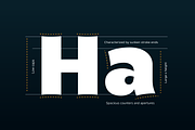 Mensch; 32 Fonts of Sans & Serif, a Sans Serif Font by Eko Bimantara (Thumbnail 6 of 13)