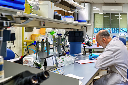 Researcher documenting analysis in a