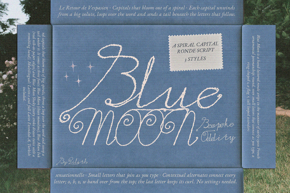 Blue Moon - Monoline Textured Font, a Handwritten Font by Lilithcollageart (Photo 1 of 6)