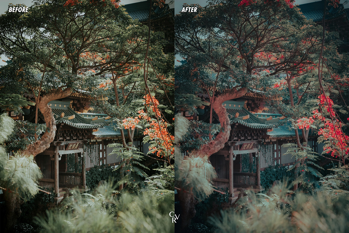 15 Cinematic Teal Lightroom Presets, a Preset Add-On by CVR Presets (Photo 6 of 7)