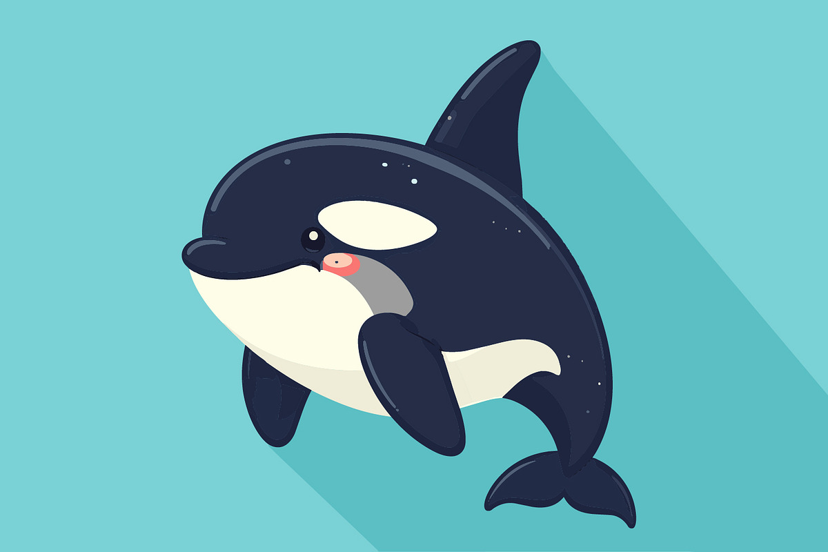 Cute orca illustration in flat, an Animal Illustration by Pray Art Design Studio (Photo 1 of 3)